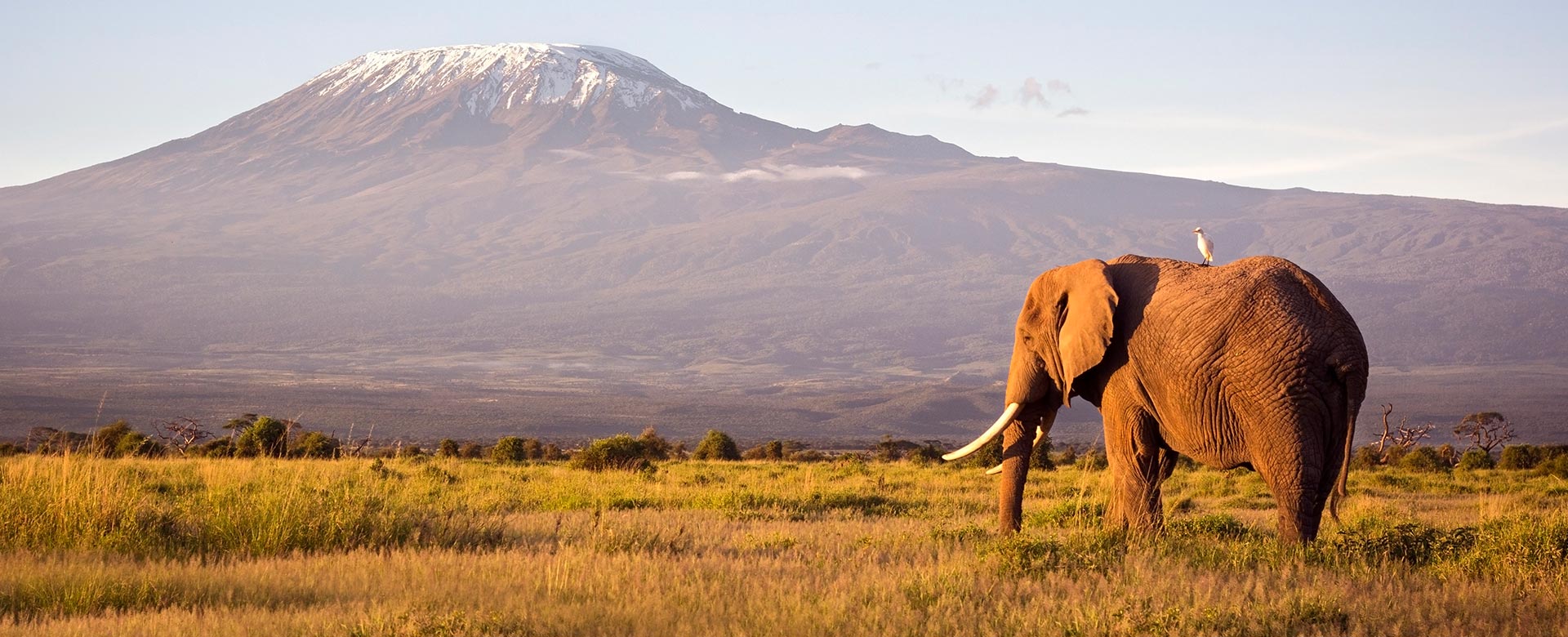 Tanzania Classic Safari
