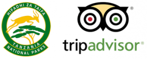 Trip Advisor Logo