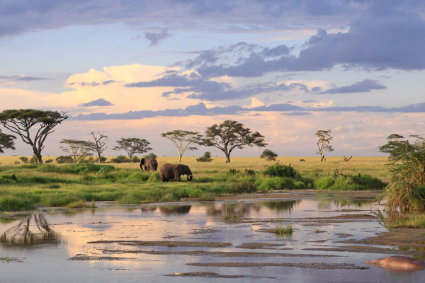 Tanzania Travel Guide