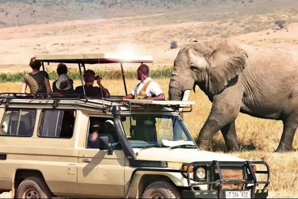 Tanzania Travel Guide