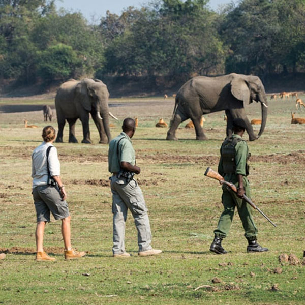 Tanzania Safari Packages