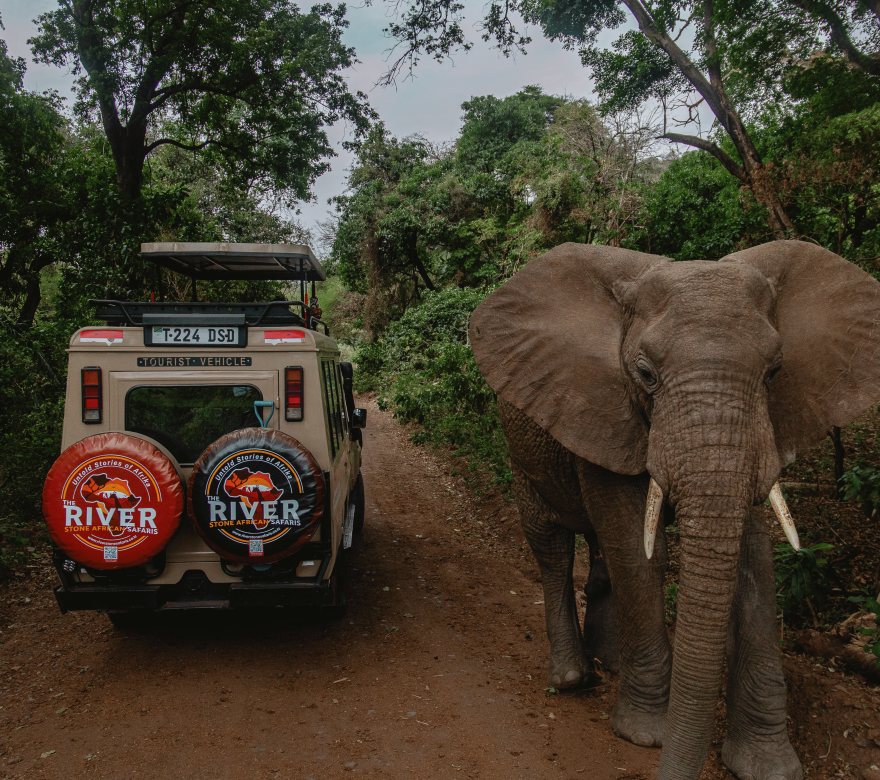 riverstone_elephant-1