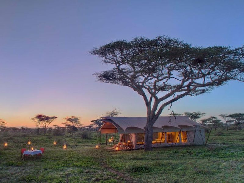 Tanzania Camping Safari
