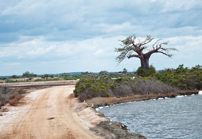 Saadani National Park
