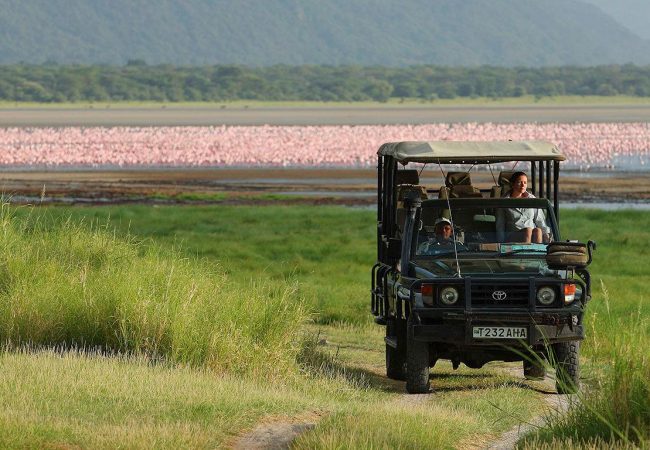Best Time To Visit Tanzania
