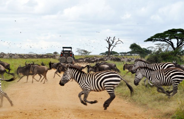 Arusha National Park