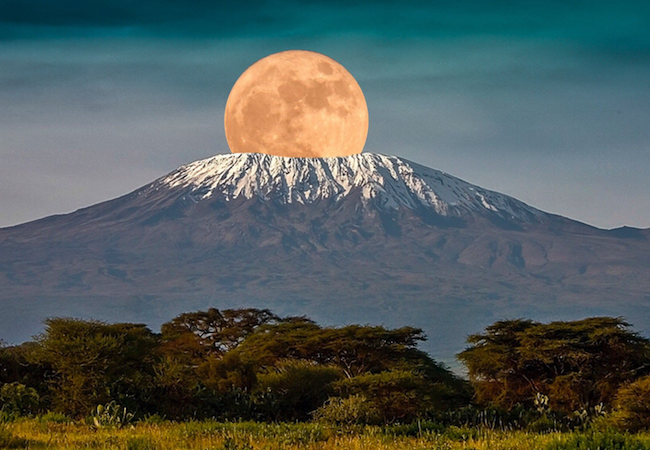 Kilimanjaro National park