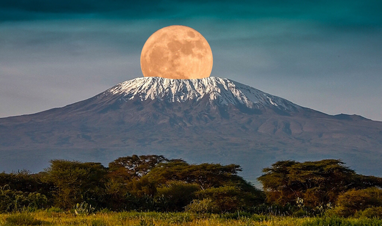 Kilimanjaro National Park