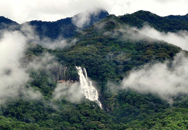 Udzungwa Mountain National Park