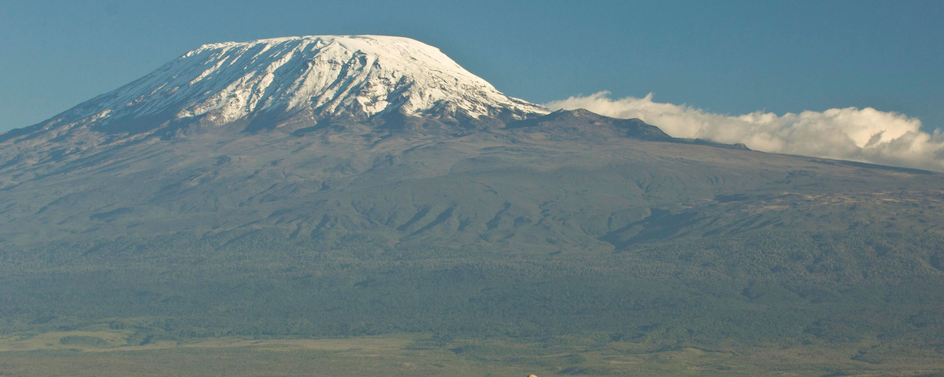 Kilimanjaro Climbing