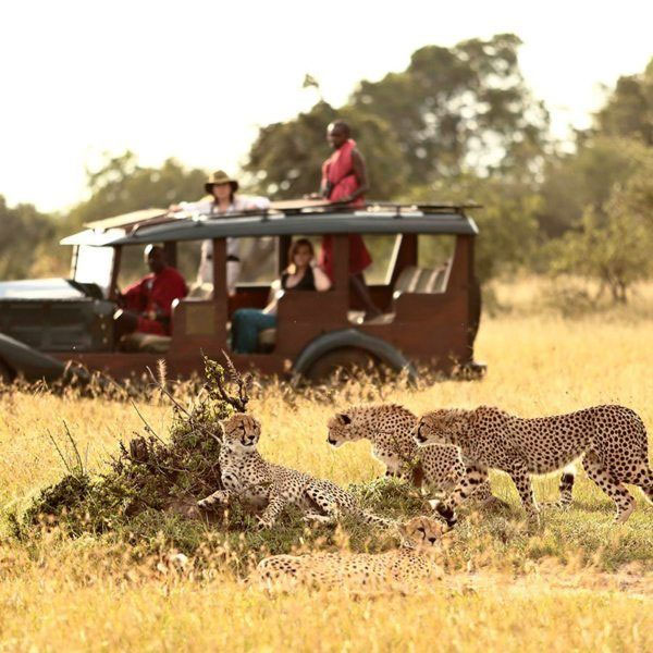 Tanzania Travel Guide