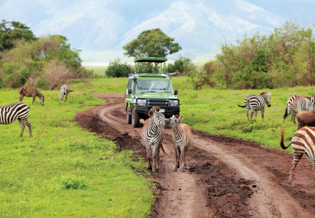 Tanzania Safari Tours | Best Safari in Tanzania Tours  Package